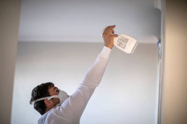 Best DIY Mold Remediation Support Services in Demarest, NJ